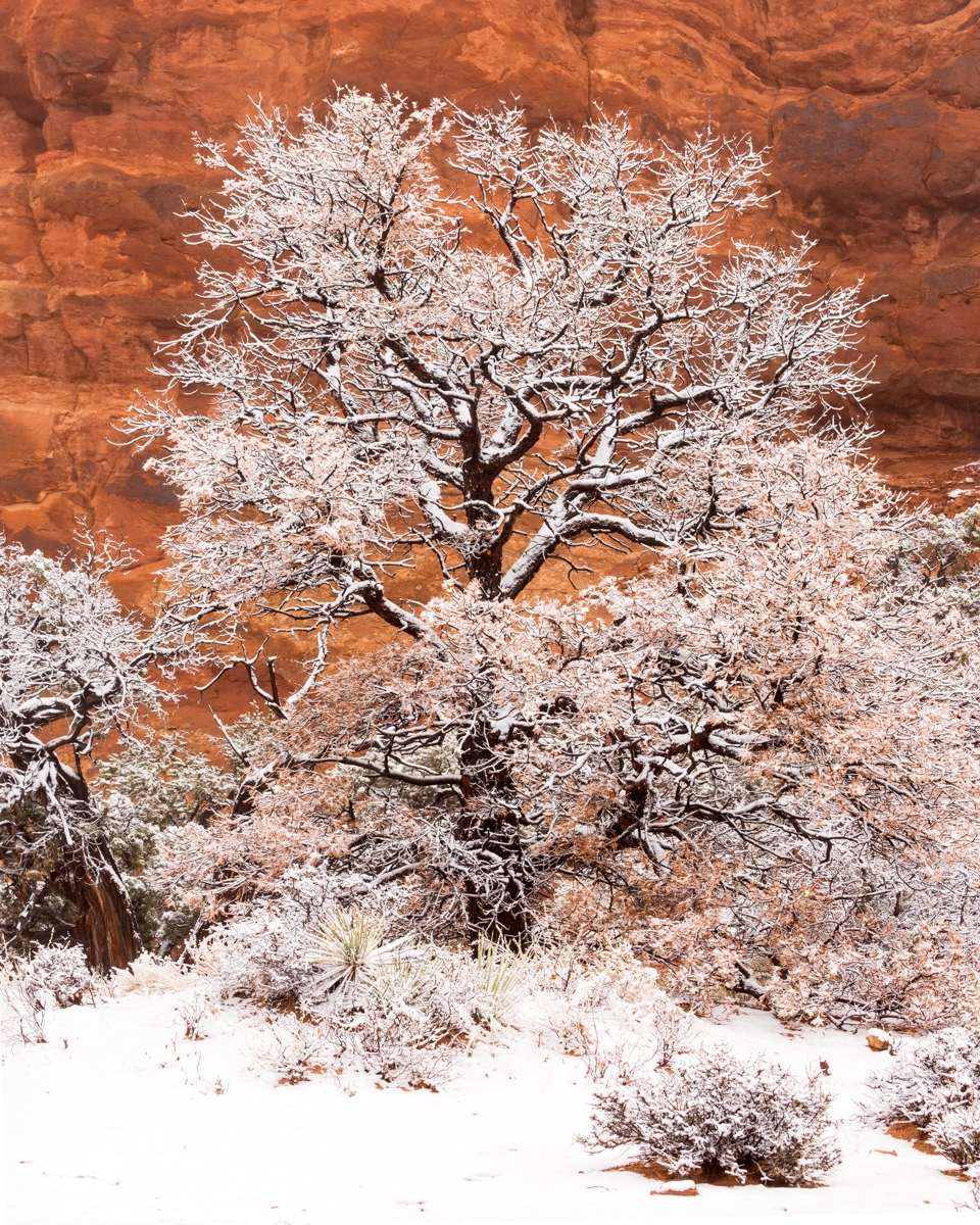 'Snow In Utah' (PB 1 Place) by John Benet - MR