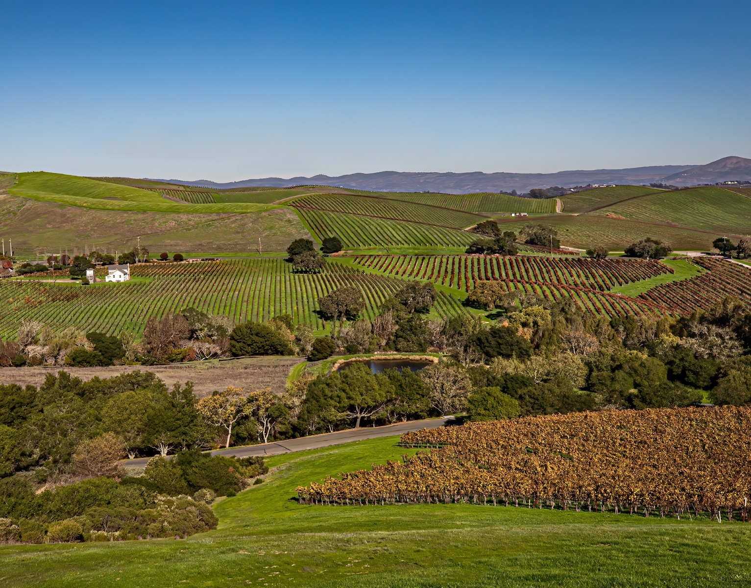 Autumn-view-from-the-Artesa-Winery-Carneros-District-Napa-Valley.-PB-1-Place-by-Bruce-Lescher-LV